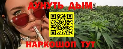 гидра Славгород