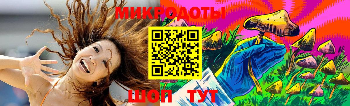 Галлюциногенные грибы Psilocybine cubensis Ливны
