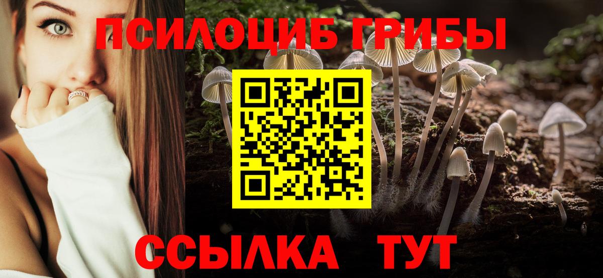 Галлюциногенные грибы прущие грибы  Псилоцибиновые грибы Cubensis  Вход с VPN  Ливны 